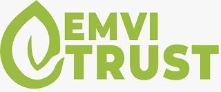 emvi logo